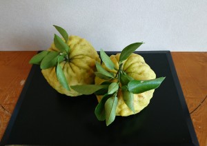 16-10-30-21-45-40-562_deco
